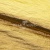 Текстильный материал "Диско"#1805 с покрытием РЕТ, 40гр/м2, 100% полиэстер, цв.5-золото - купить в Каменске-Уральском. Цена 412.36 руб.