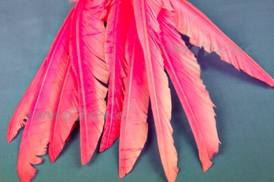 Декоративный Пучок из перьев, перо 25см/розовый - купить в Каменске-Уральском. Цена: 14.40 руб.