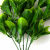 Трава искусственная -1, шт (эвкалипт лист 32 см/8 см)				 - купить в Каменске-Уральском. Цена: 169.93 руб.