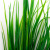 Трава искусственная -2, шт (осока 41см/8 см)				 - купить в Каменске-Уральском. Цена: 104.57 руб.