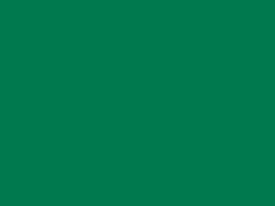 85 см № 258 яр. зеленый спираль (G) сорт-2 - купить в Каменске-Уральском. Цена: 16.97 руб.