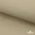 Ткань подкладочная TWILL 230T 14-1108, беж светлый 100% полиэстер,66 г/м2, шир.150 cм - купить в Каменске-Уральском. Цена 90.59 руб.