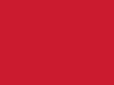 Сетка подкладочная красный, 60г/м2 (10 м/кг) - купить в Каменске-Уральском. Цена 885.73 руб.