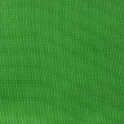 Ткань подкладочная Таффета 17-6153, 48 гр/м2, шир.150см, цвет трава - купить в Каменске-Уральском. Цена 54.64 руб.