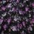 Плательная ткань "Фламенко" 20.1, 80 гр/м2, шир.150 см, принт растительный - купить в Каменске-Уральском. Цена 241.49 руб.
