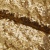 Сетка с пайетками №3, 188 гр/м2, шир.140см, цвет золотой - купить в Каменске-Уральском. Цена 454.12 руб.
