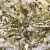 Трикотажное полотно, Сетка с пайетками, шир.130 см, #315, цв.-белый/золото - купить в Каменске-Уральском. Цена 693.39 руб.