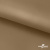Ткань подкладочная Таффета 17-1327, антист., 54 гр/м2, шир.150см, цвет св.коричневый - купить в Каменске-Уральском. Цена 65.53 руб.