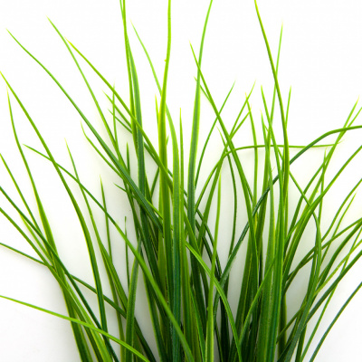 Трава искусственная -3, шт (осока 50 см/8 см  5 листов)				 - купить в Каменске-Уральском. Цена: 124.17 руб.